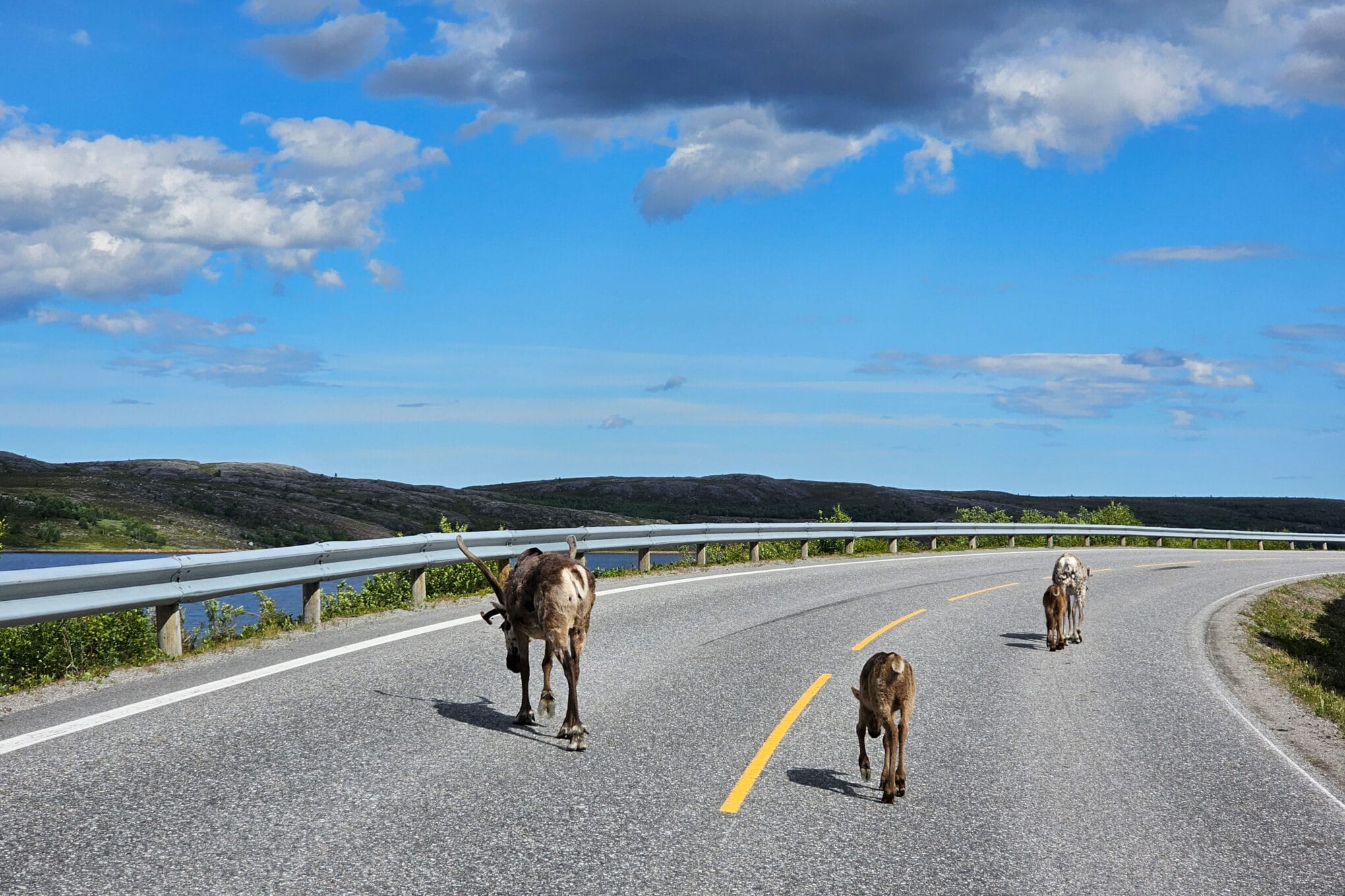 Event-Banner-Norwegen-Sommer